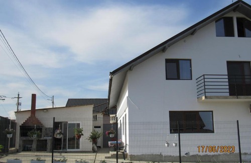 Corbu Casa | Dă-i pace