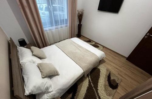 Satu Mare Apartamento | D&M APARTMENTS 1