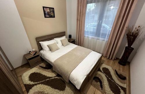Satu Mare Apartamento | D&M APARTMENTS 1