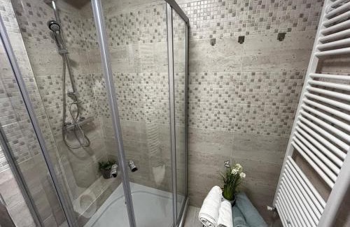 Satu Mare Apartamento | D&M APARTMENTS 1