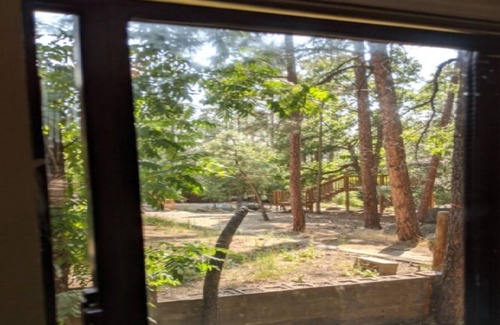 Prescott Alquiler De RV | D1 Forest Cabin Goldwater Lake & Prescott Trails