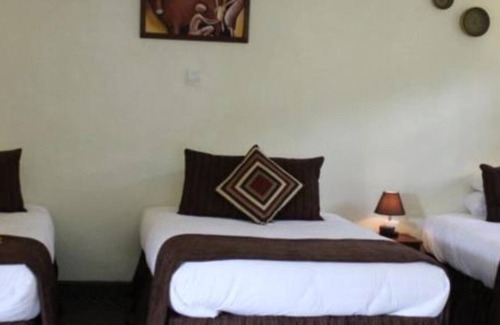 Musanze Cabina | Da Vinci Gorilla Lodge