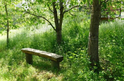 Feldberger Seenlandschaft Apartamento | Dachstudios Alte Mühle