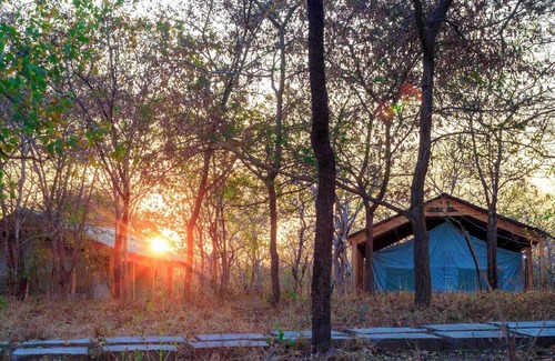 Morogoro Cama Y Desayuno | Daga Camp - Marvelous bed & breakfast with AC in Mikumi