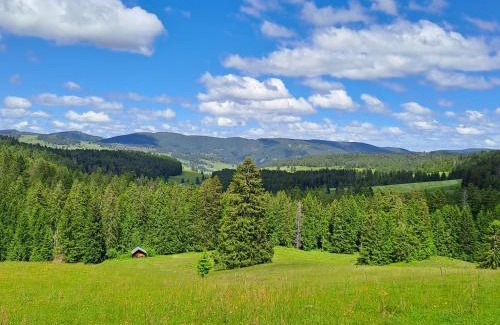 St. Blasien Apartamento | Daheim im Geissetal