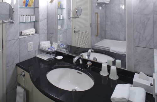 Kamezawa Hotel | Daiichi Hotel Ryogoku