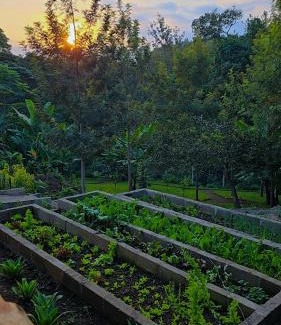 Arusha Villa | Daima Escape