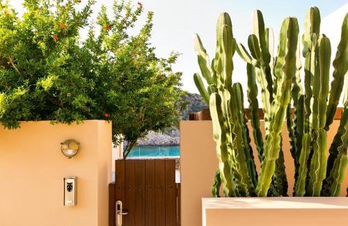Vathi Complejo | Daios Cove