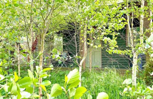 Rewe Casa | Daisy-a romantic logcabin hiding amongst the trees