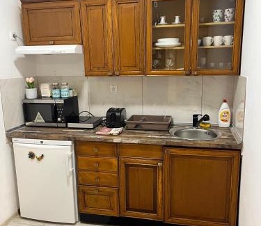 Petrovaradin Apartamento | Daisy Apartment Novi Sad- Sremska Kamenica