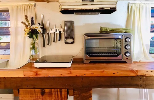 Salt Spring Island Casa | Daisy the Travelux Trailer