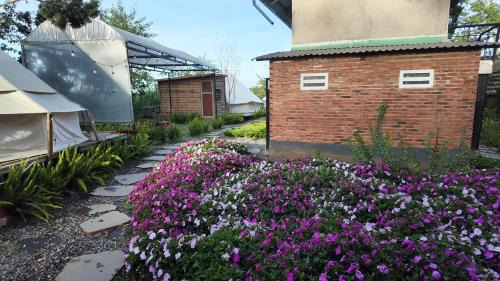 Da Lat Apartamento | DaLart Glamping & Coffee