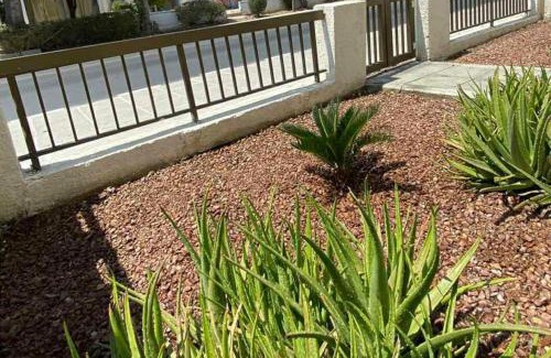 Paphos Apartamento | Dalia 9 (1 Bedroom Apt)