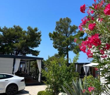 Biograd na Moru Complejo | Dalmaris camp - prestige mobile homes Biograd na Moru