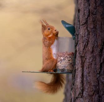 Spittal of Glenshee Casa | Dalmunzie Castle Hotel