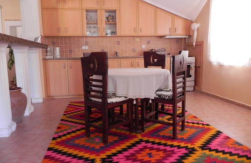 Dalyan City Center Villa | Dalyan Palace