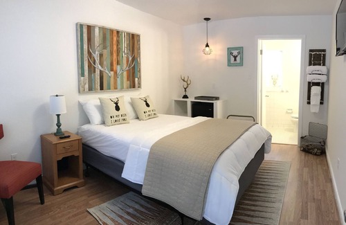 Hot Springs Hotel | Dame Fortune's Cottage Court