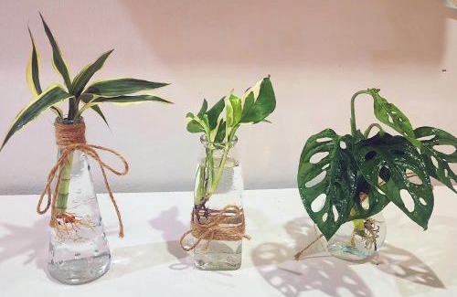Ban Na Faek Casa | Damiya Peaceful House