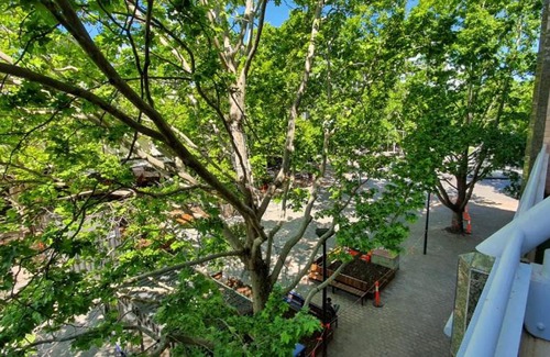 City East Apartamento | Dana-Spacious Private Room in Shared 2-Bedroom Apartment-2
