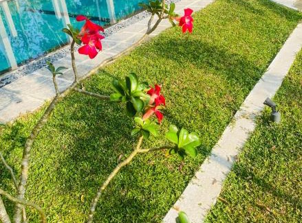 Hettimulla Casa | Dana Villa