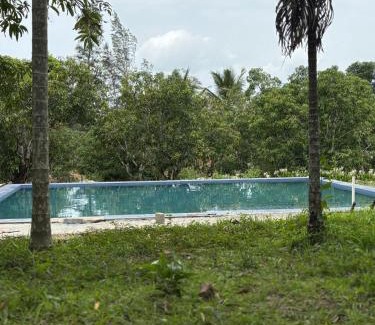 Haliyal Casa | Dandeli Jungle Villa Resort