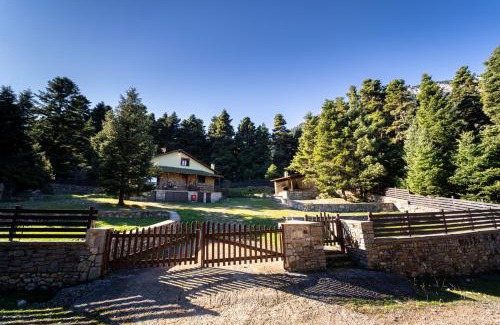Eptalofos Chalet De Esquí | Dandy Villas Elatodasos - Chalet Artemis - Fir Forest - Jeep & Nature Lovers