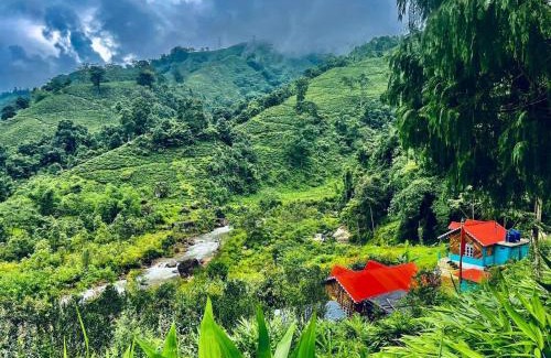 Darjeeling Casa | Dangia Delight Homestay