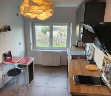 Epernay Casa | Dans les vignes d'Epernay, Maison avec vue spectaculaire