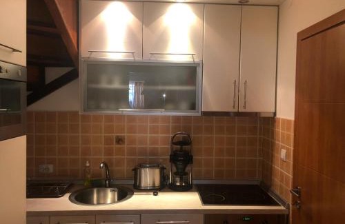 Smederevo Apartamento | Danube duplex apartment