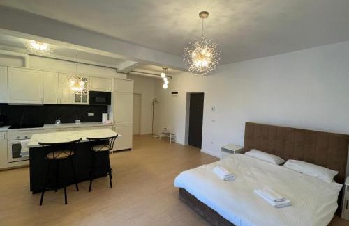 Dumbravita Apartamento | DanyMosnita