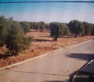 Sidi Rahhal Casa | dar hanane