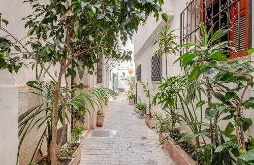 Medina of Tangier Casa | Dar Nadaa