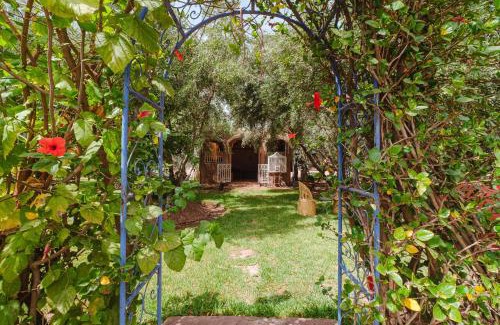 Oulad Hassoune Casa | Dar Salah - Eddine Oasis Pool & SPA