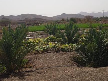 Ait El Farsi Casa | Dar Salam
