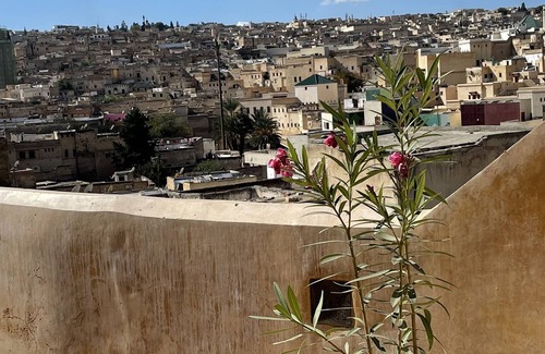 El Mokhifa Casa | DAR SEFFAH : SU CASA EN EL CORAZÓN DE LA MEDINA DE FEZ