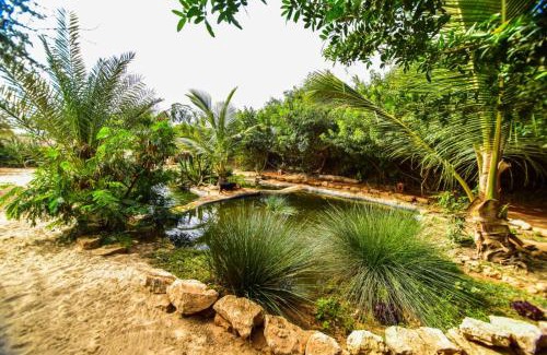 Dakhla Casa | Dar Tawarta Guest House Dakhla