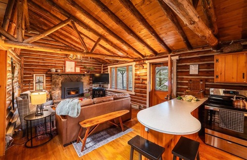 Ulysses Cabina | Dark Sky Escape | Fire Pit + Forest Porch Vibes