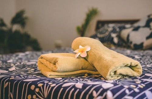 Gray Casa | Darwin Tropical House