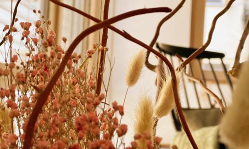 Loerrach Apartamento | Das grüne Haus - Lörrach