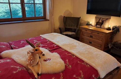 Oberndorf bei Kitzbuhel Apartamento | das historische MEIXNER am Rerobichl Bezirk Kitzbühel