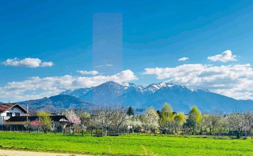 Rasnov Apartamento | DAS Home-Vedere la Muntii Bucegi parcare gratuita