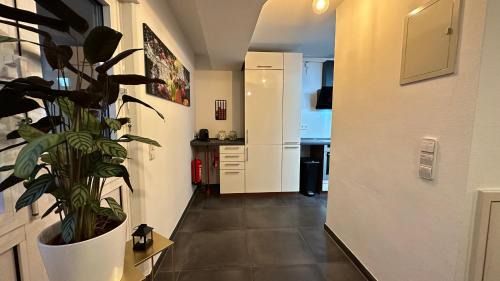 Oststadt Apartamento | Das Penthouse - Jacuzzi - BBQ - Dachterrasse