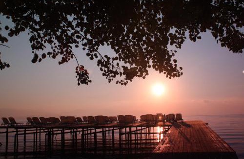 Dassia Hotel | Dassia Beach Hotel