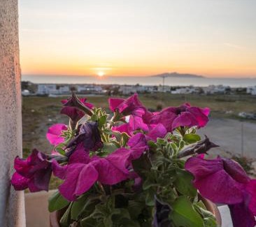 Messaria Apartamento | Dauti Gold Suites