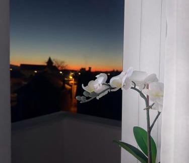 Fagaras Apartamento | Davcom Studio