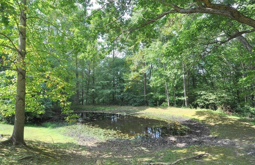 Great Cacapon Casa | Davis Delight - Wonderful Country Home