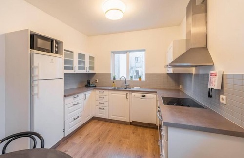 Downtown Apartamento | Day Dream Soleyjargata Apartments
