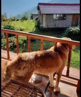 Kharsali Casa | Dayara bugyal sarai