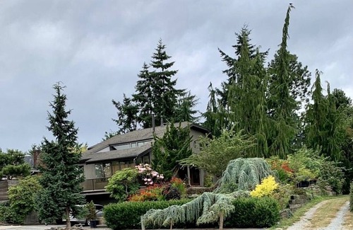 Lawton Park Casa | Daylight Mother-in-law in Magnolia Seattle