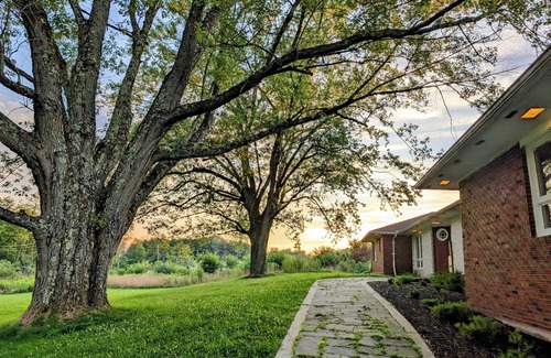 Swan Lake Casa | Dazzling Design, Hot Tub, Huge Rooms, Privacy, 20 acres